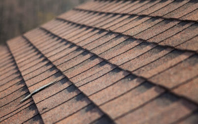 Types of Asphalt Shingles for Your Home Roof