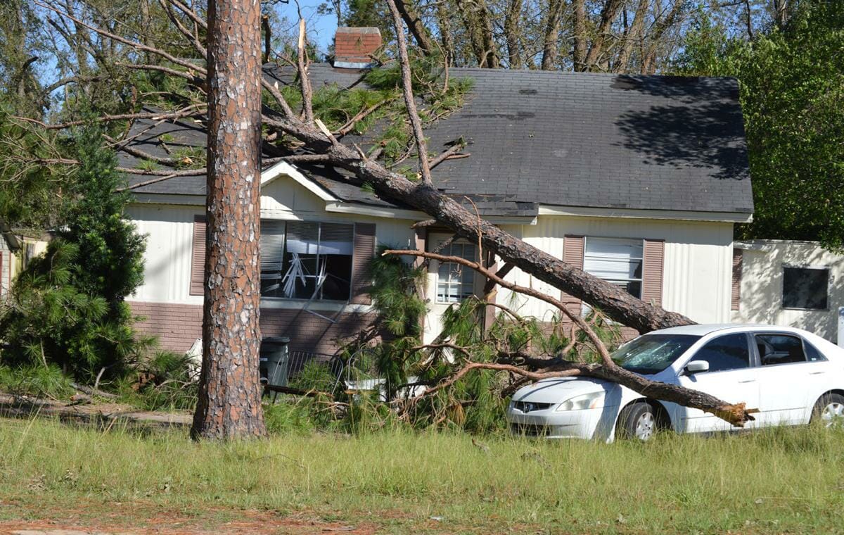 Fallen tree on a residential roof needing an emergency roof repair in Raleigh
